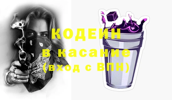 молекула духа Болотное