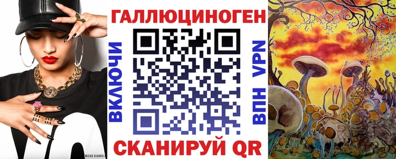 купить   Юрьевец  Псилоцибиновые грибы мухоморы 